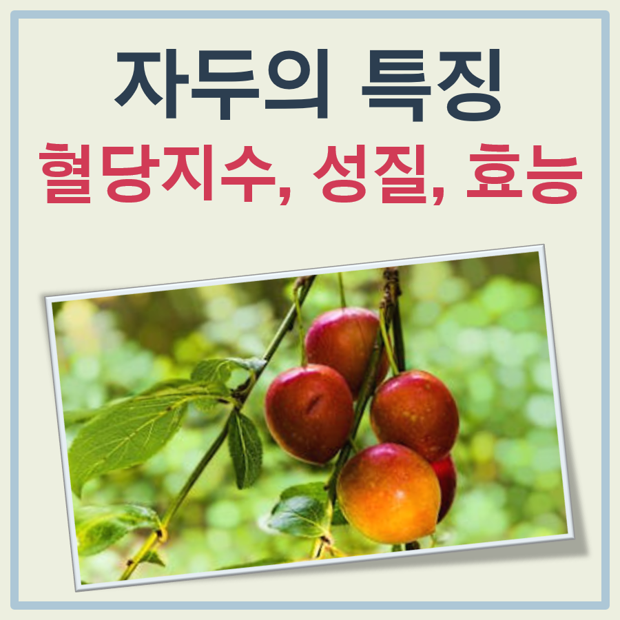 자두의 혈당지수, 성질, 효능 쉬운 정리
