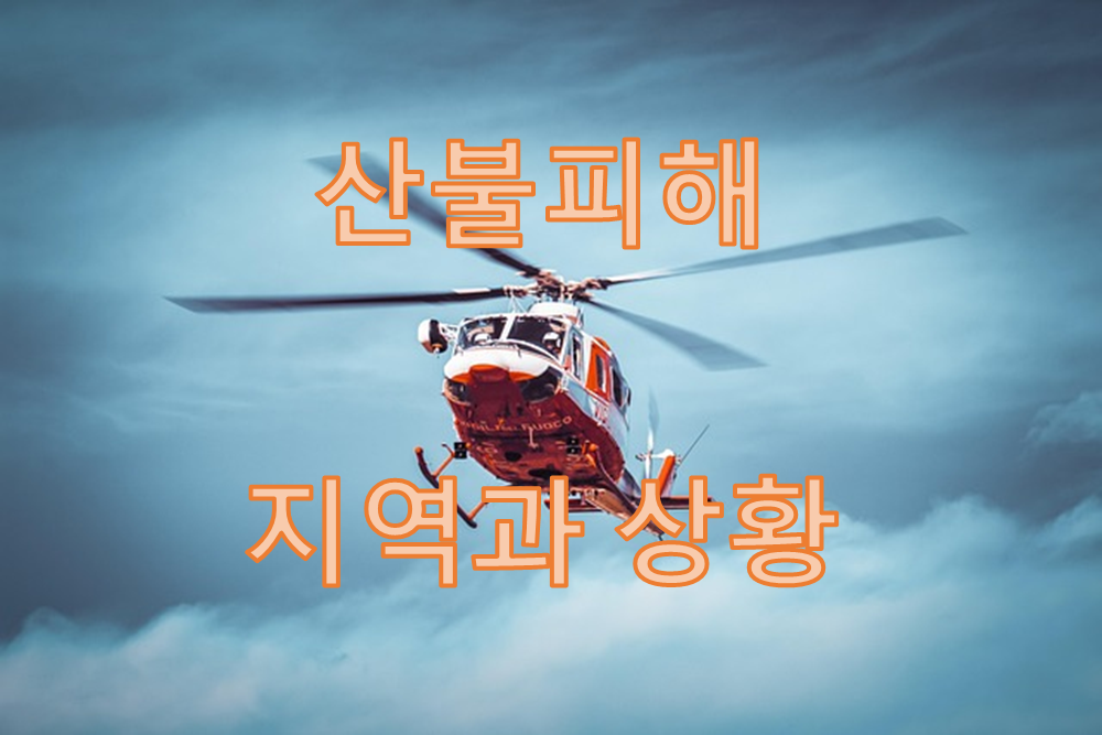 산불피해