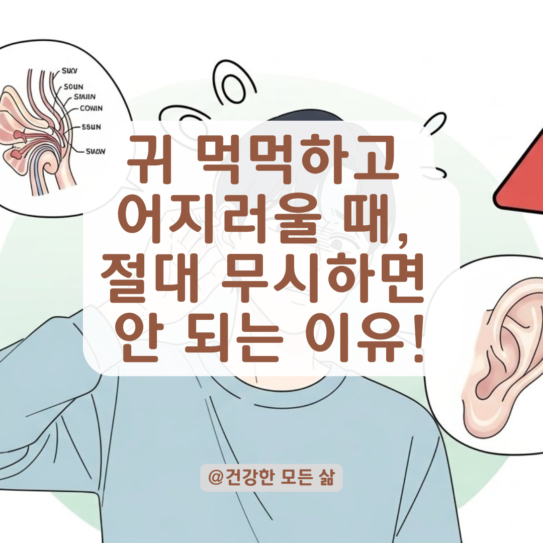 귀 먹먹함과 어지러움, 단순 피로일까? 병원 가기 전 필수 체크리스트