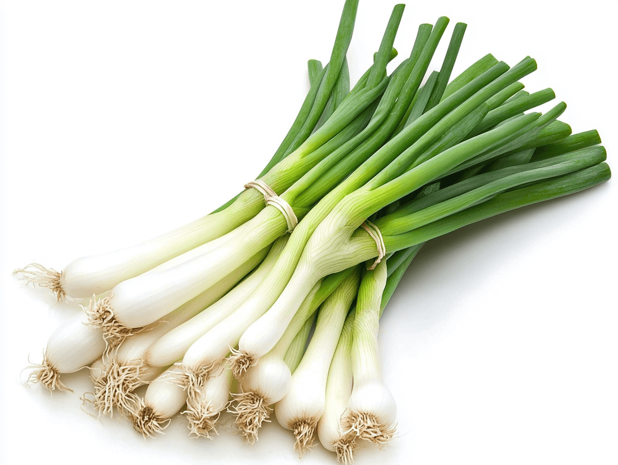 잡내를 없애는 재료