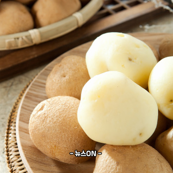 수능 아침에 좋은 음식