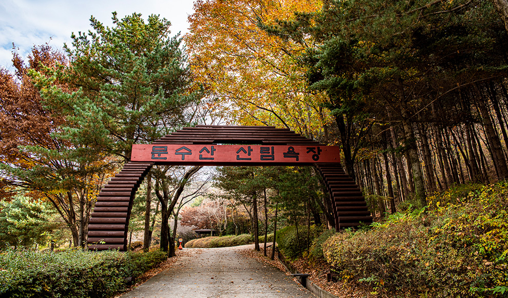 문수산산림욕장
