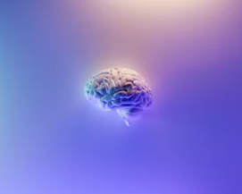 뇌 영양제 추천 부작용 효과 성분 가격