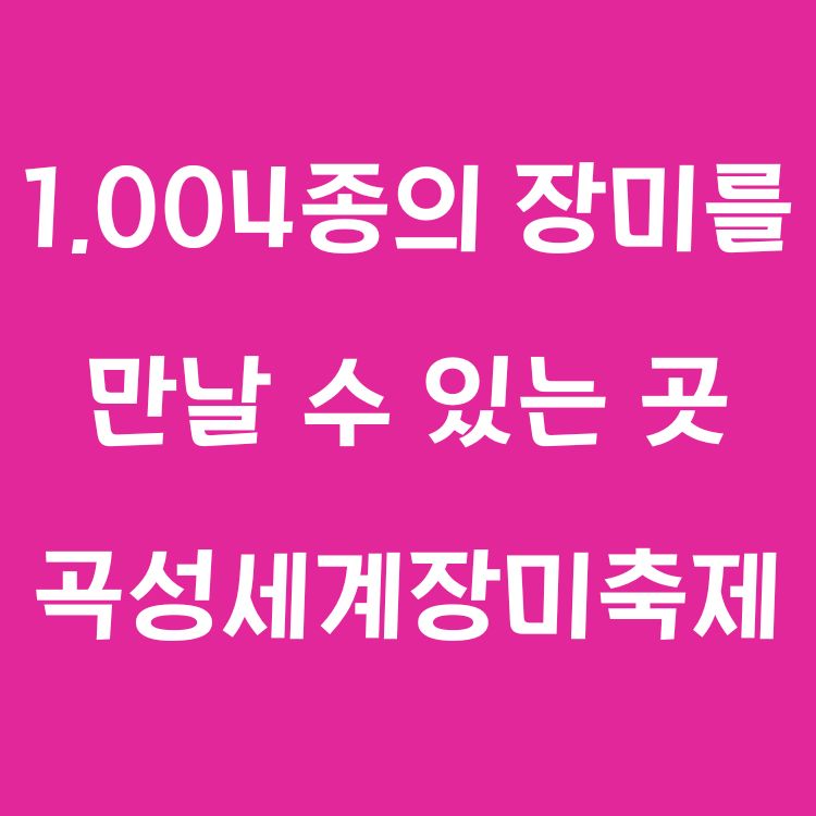 이번 주말은, 곡성세계장미축제에서 만나는 1,004종의 장미!