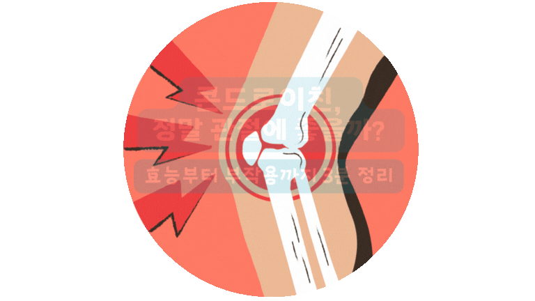 콘드로이친과 관절건강