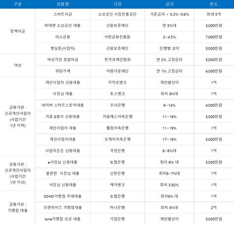 사업자 단기 대출