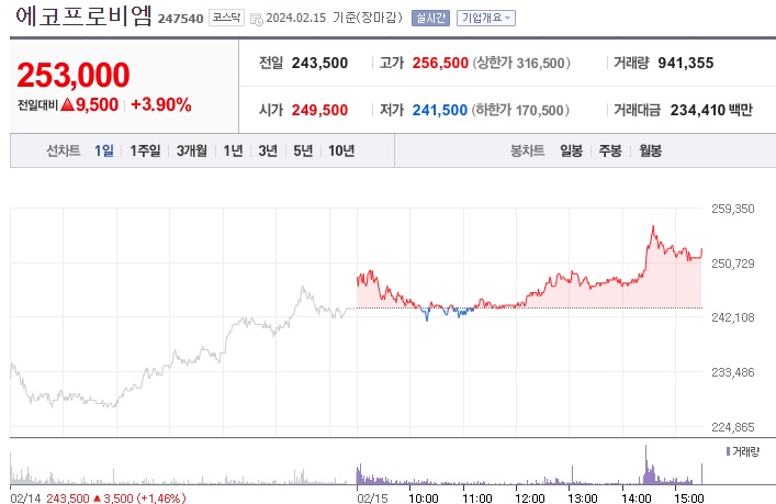 에코프로비엠 주가 및 가치 분석