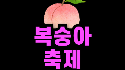 조치원 복숭아 축제 가수