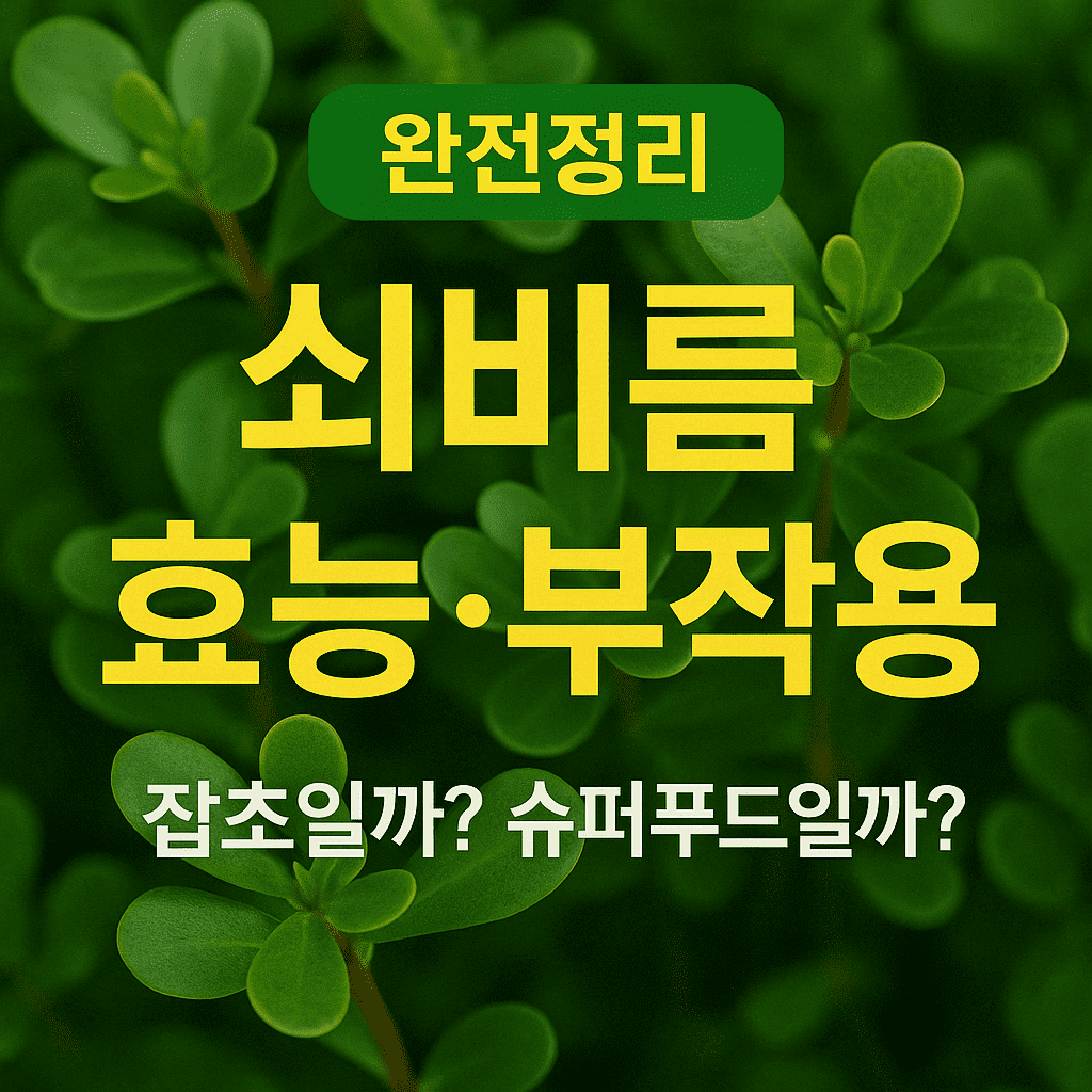 완전 정리, 쇠비름 효능, 부작용, 잡초일까? 슈퍼푸드일까?