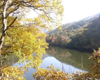 주왕산 국립공원 단풍_24