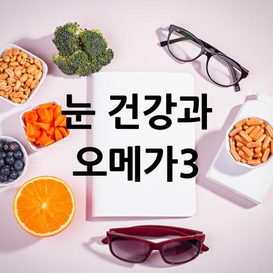 눈건강과 오메가3
