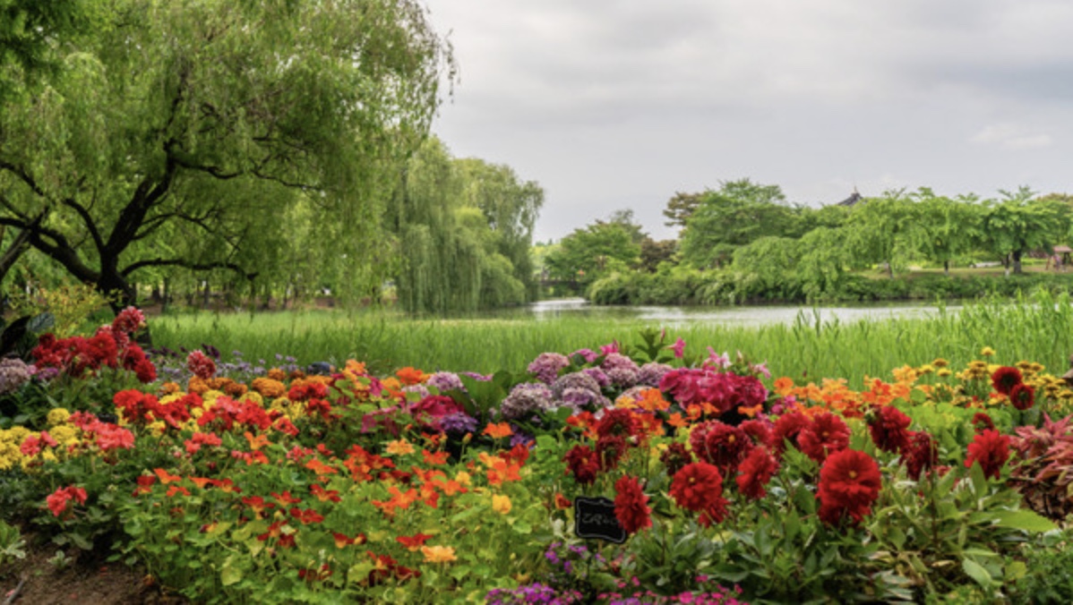 2025 고양국제꽃박람회 사전예매