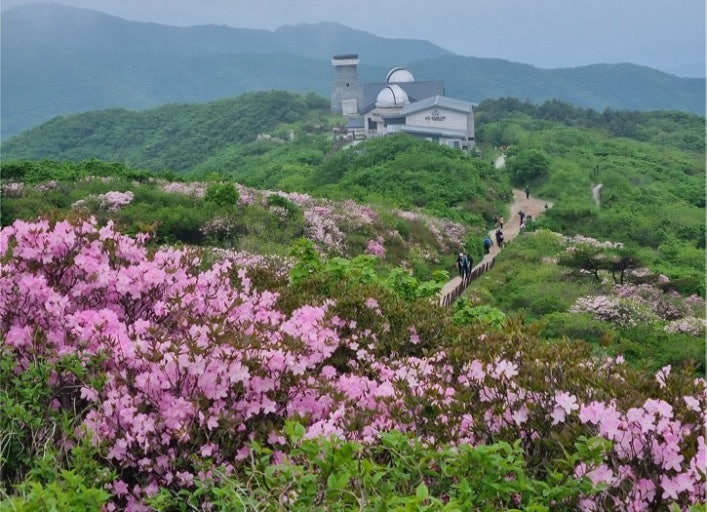 소백산 철쭉제에 대하여