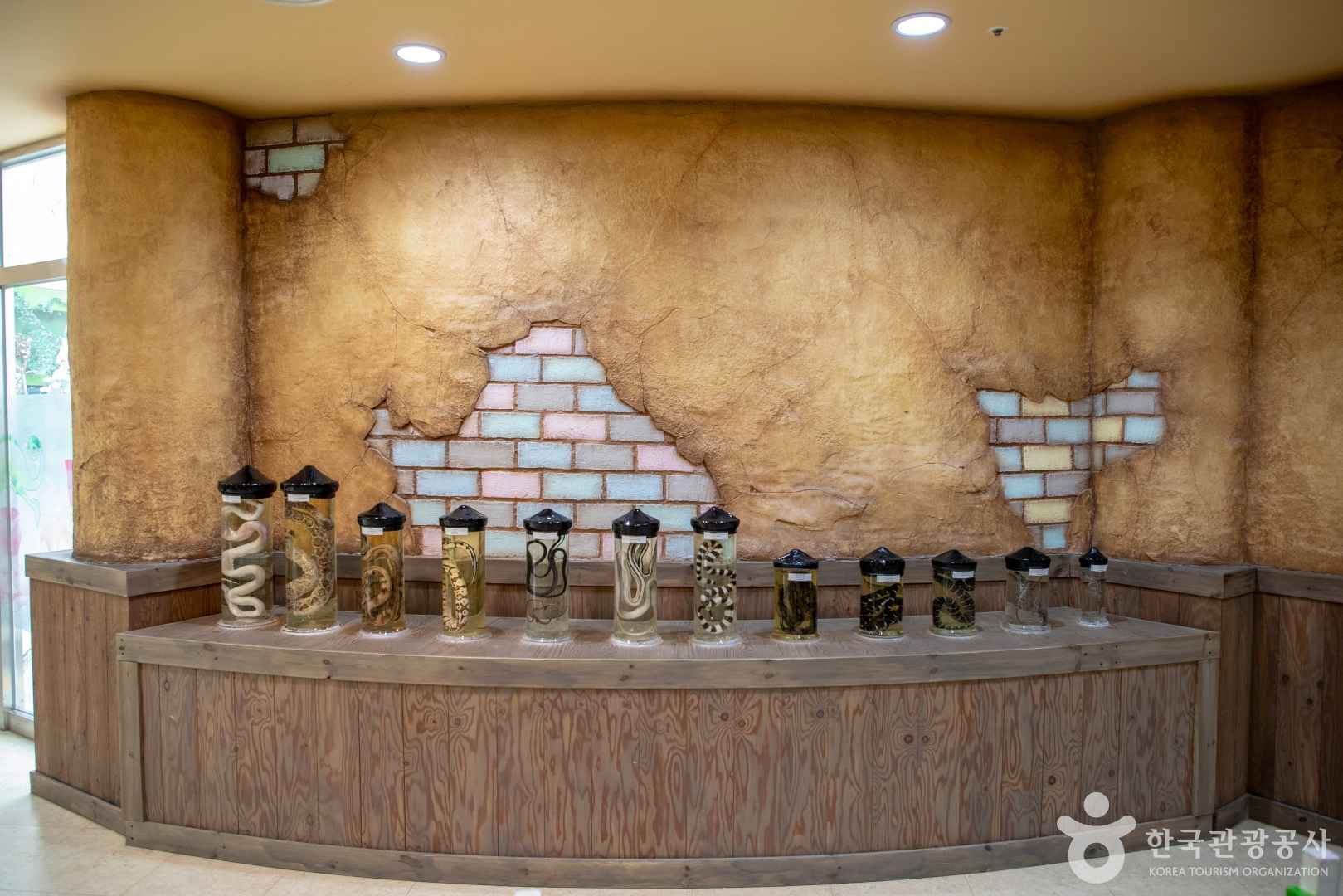 함평 양서 파충류 생태공원