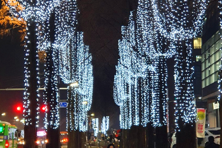 유성온천 크리스마스축제