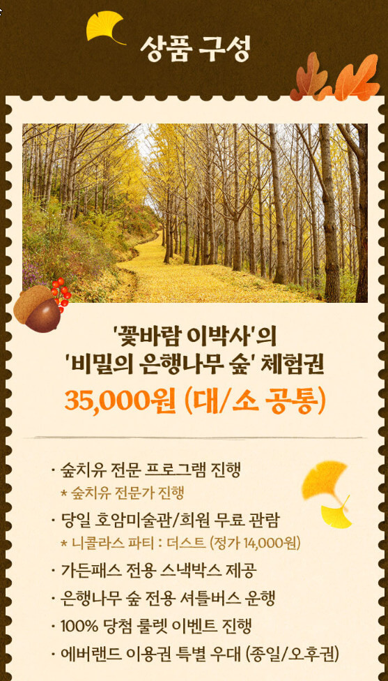 비밀의 은행나무 숲