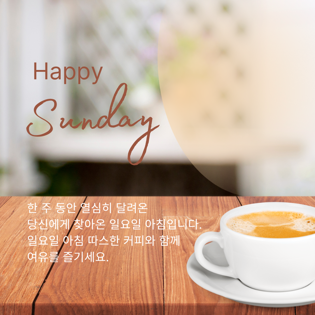 일요일 아침 인사말 이미지 문구 모음집