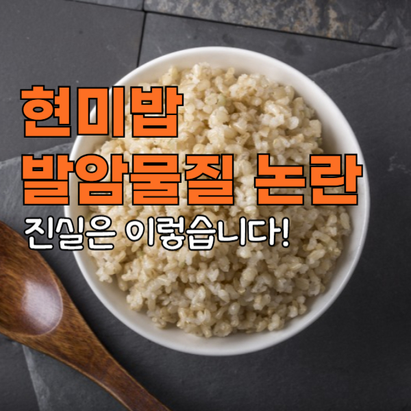현미밥