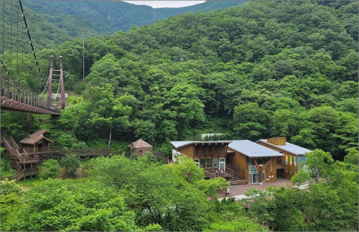 금산 자연휴양림