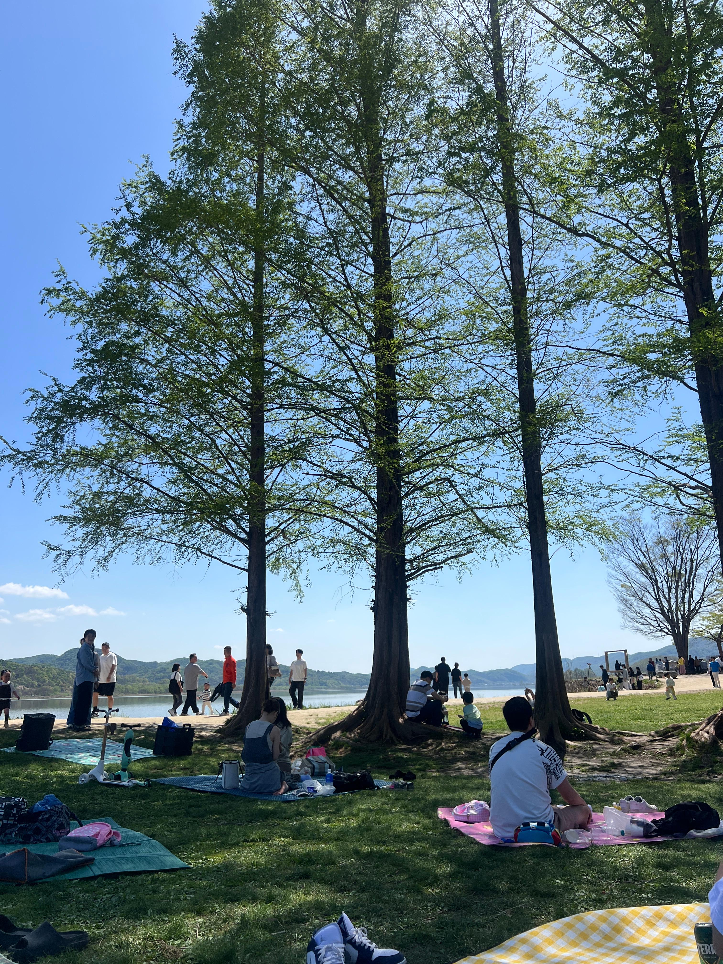 팔당댐 자전거 여행&amp;#44; 두물머리