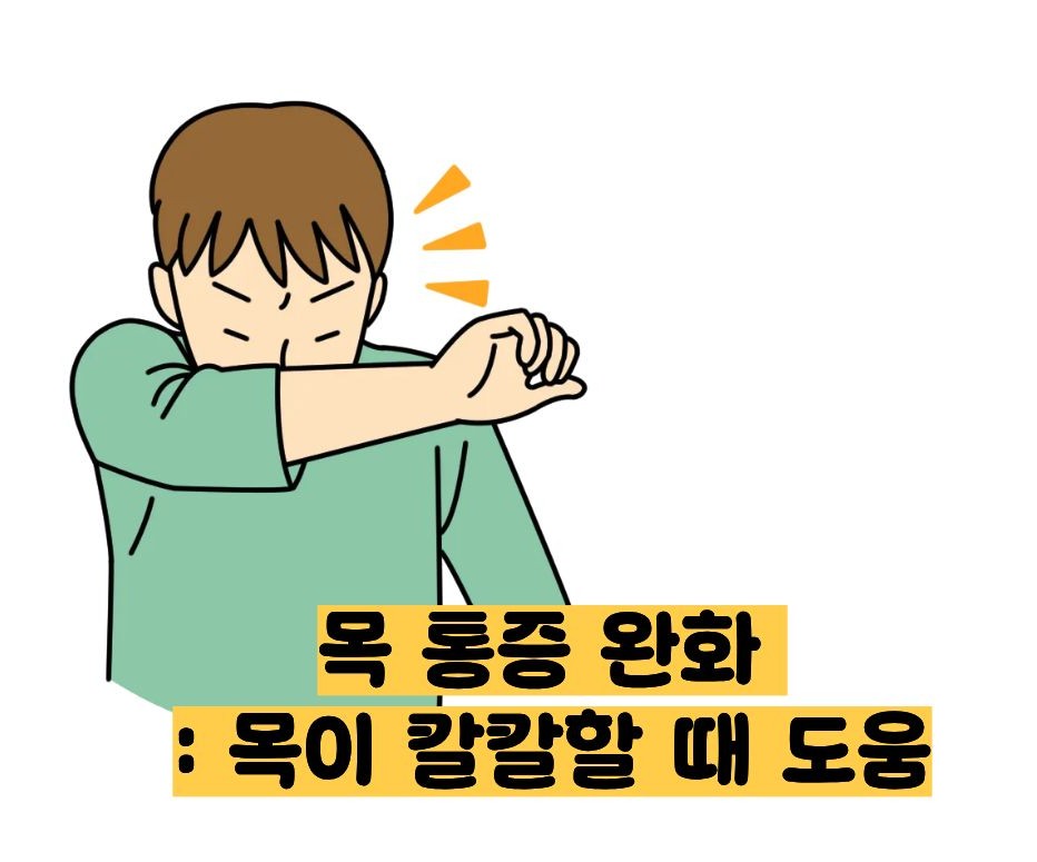 도라지청의 효능