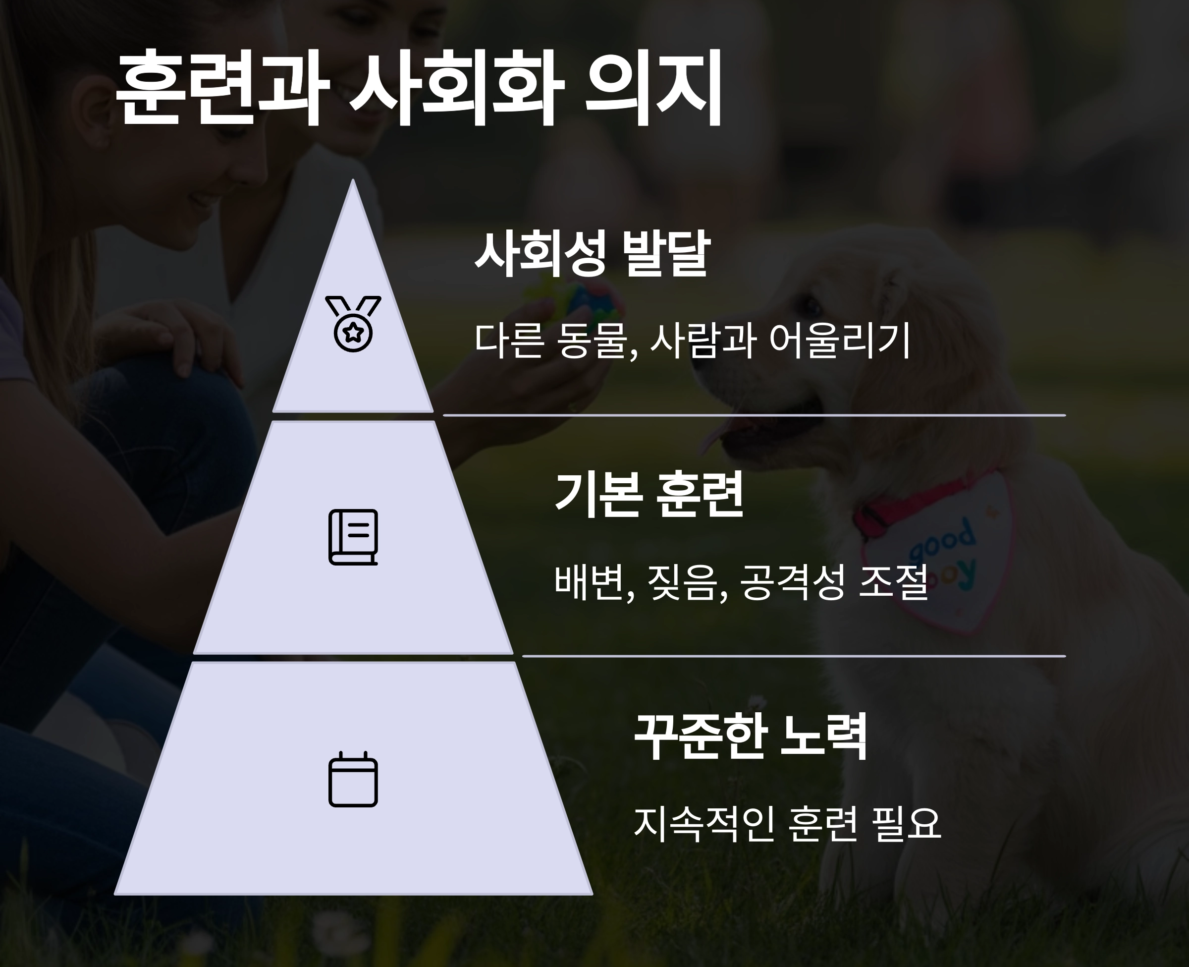 반려동물 입양 전 꼭 알아야 할 10가지 체크리스트