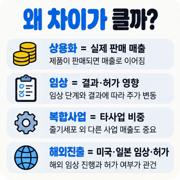 상용화 기업 임상 단계 기업 복합 사업 기업 해외 진출에 따라 줄기세포 테마의 사업 구조가 달라지는 이유를 정리한 이미지