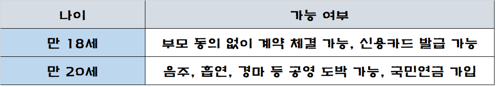 일본 성인 나이 기준을 정리한 표