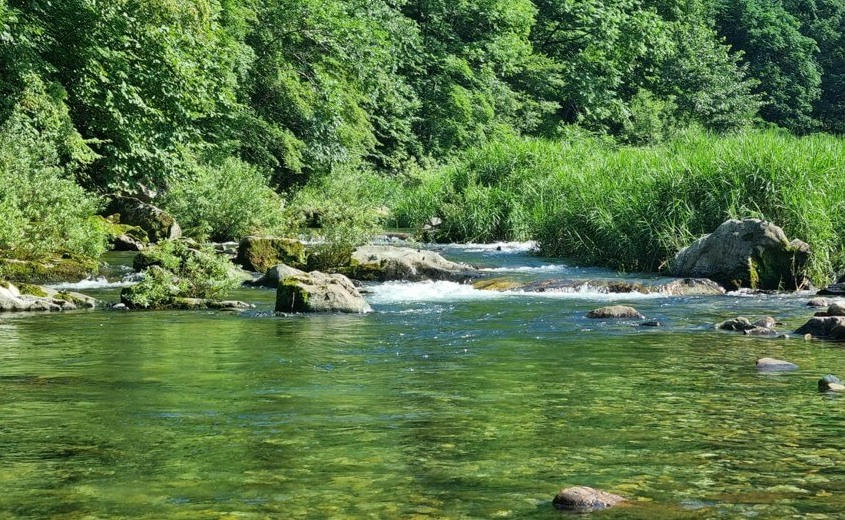 쏟아져나오는-계곡물