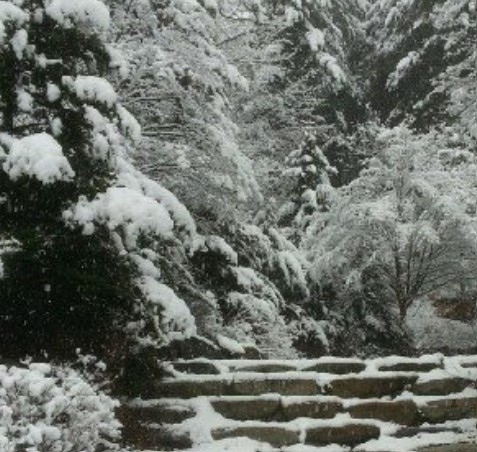 서운산 자연휴양림 숲나들e 국내 여행지 추천 관련사진