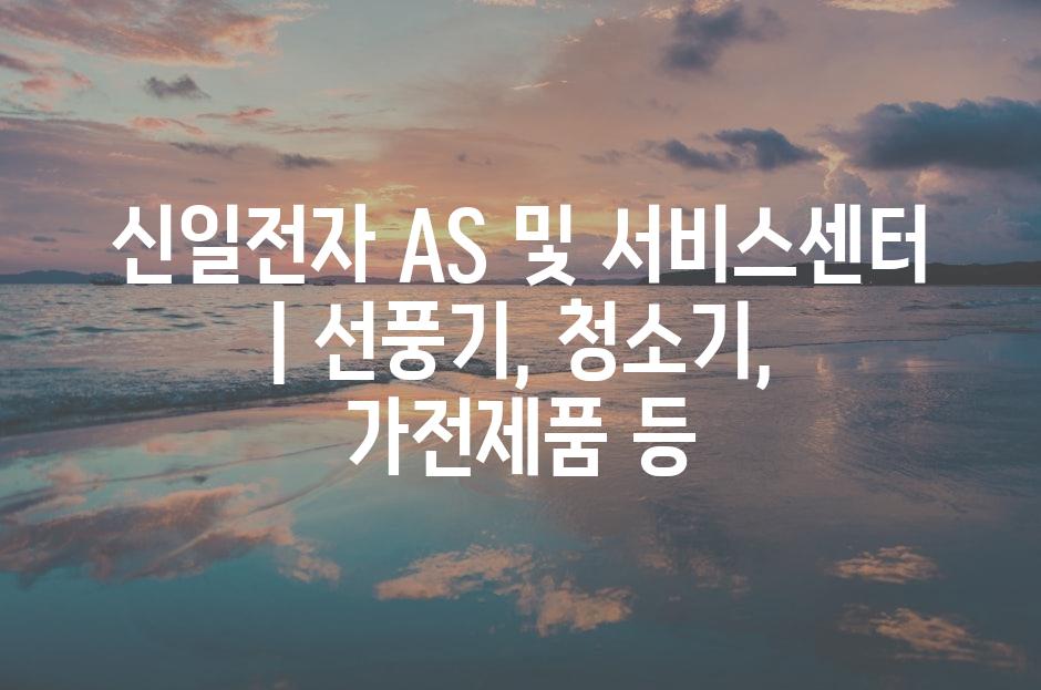 샘플 (81)