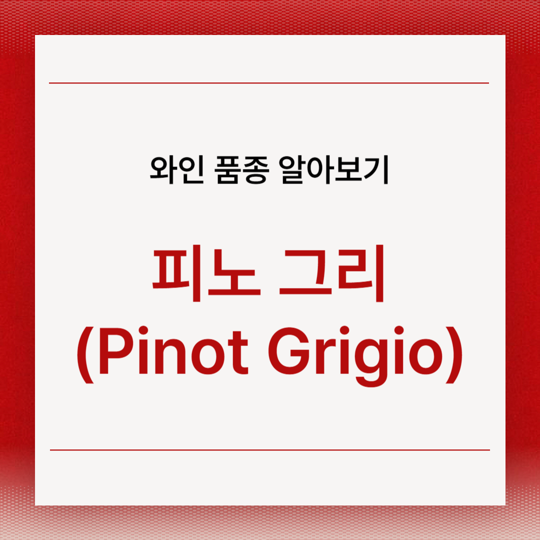 피노 그리(Pinot Grigio)