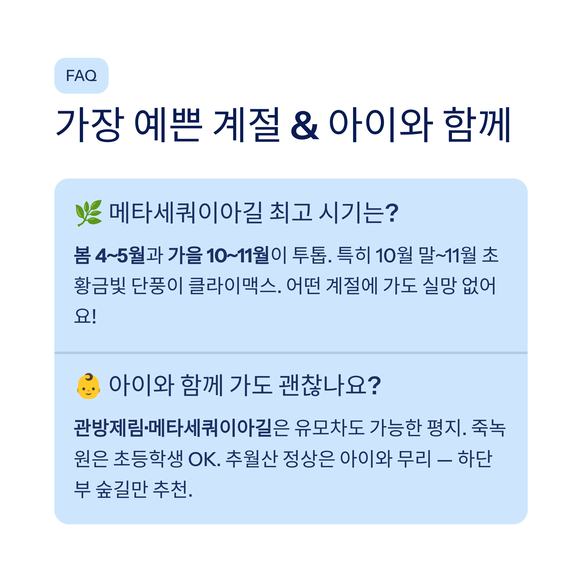 담양 메타세쿼이아길부터 추월산까지 &mdash; 걷기 명소 5선 완벽 가이드 2026