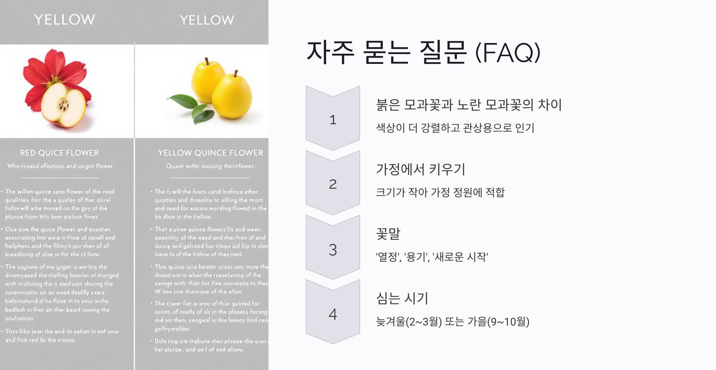 질문