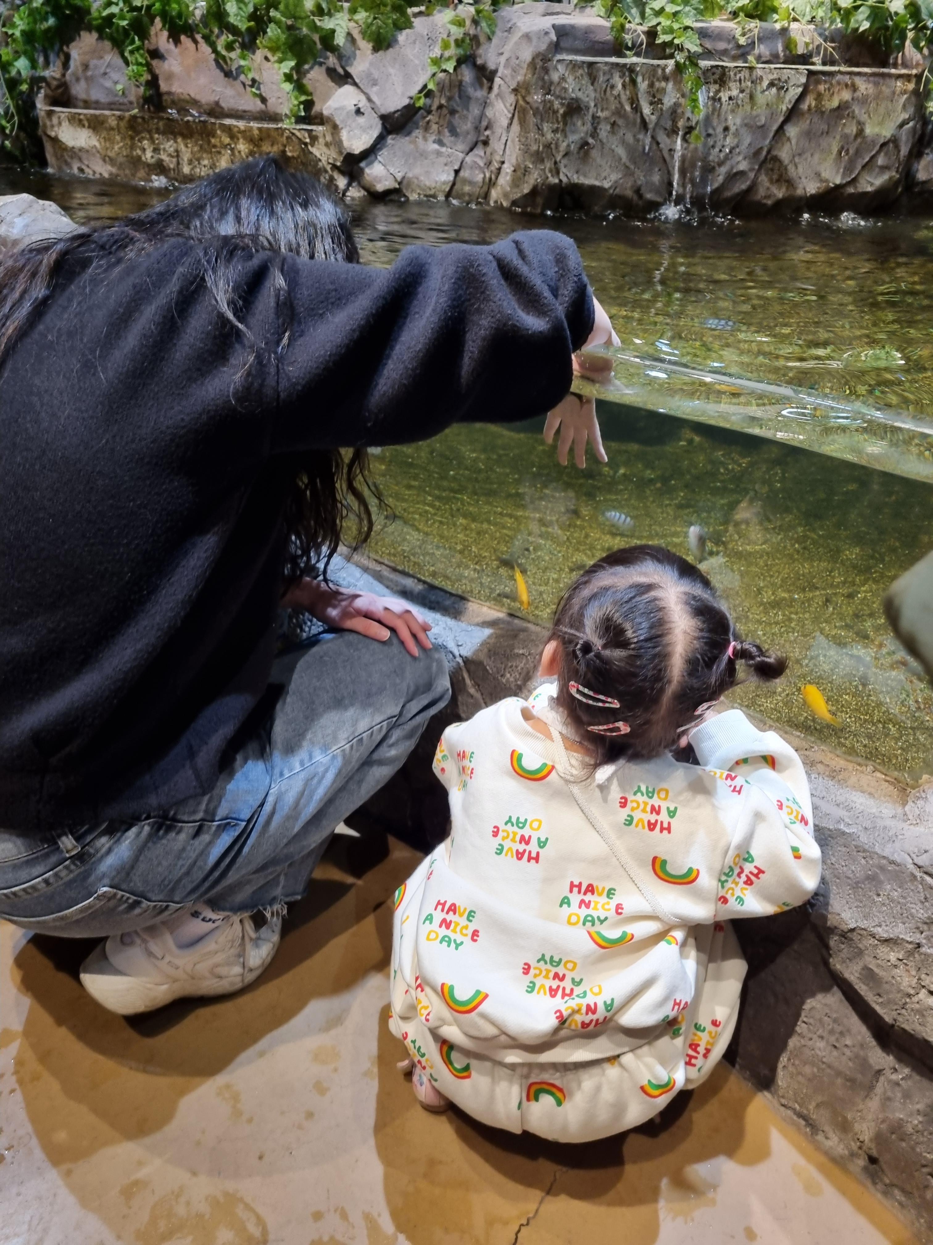 닥터피쉬체험 