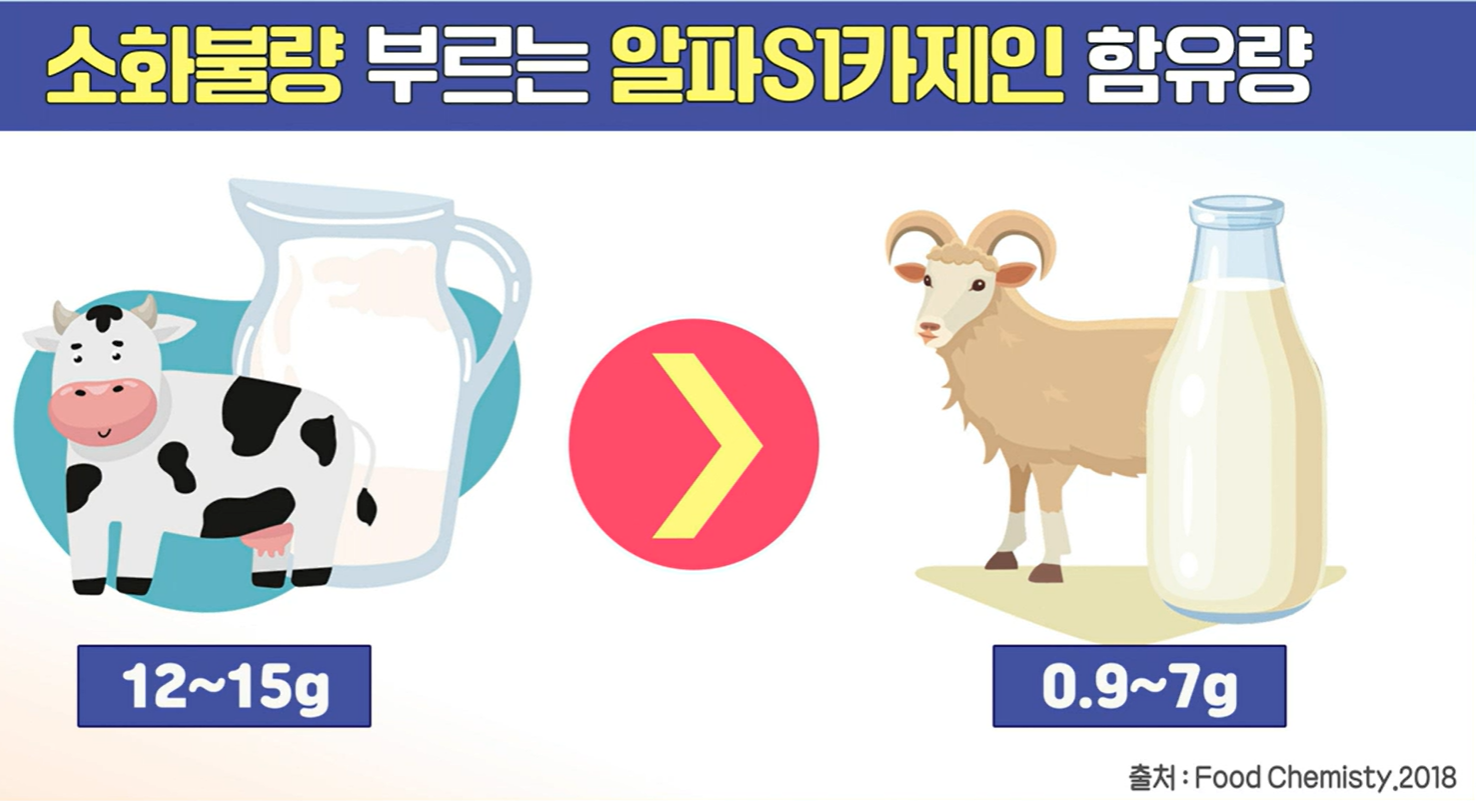 산양유 단백질 효능