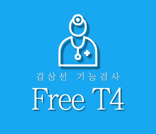 Free T4 수치와 임상적 의의