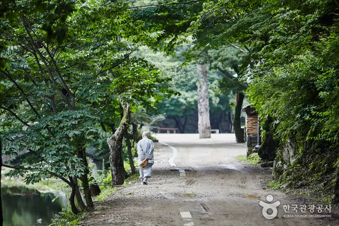 마곡사 (충남 공주)