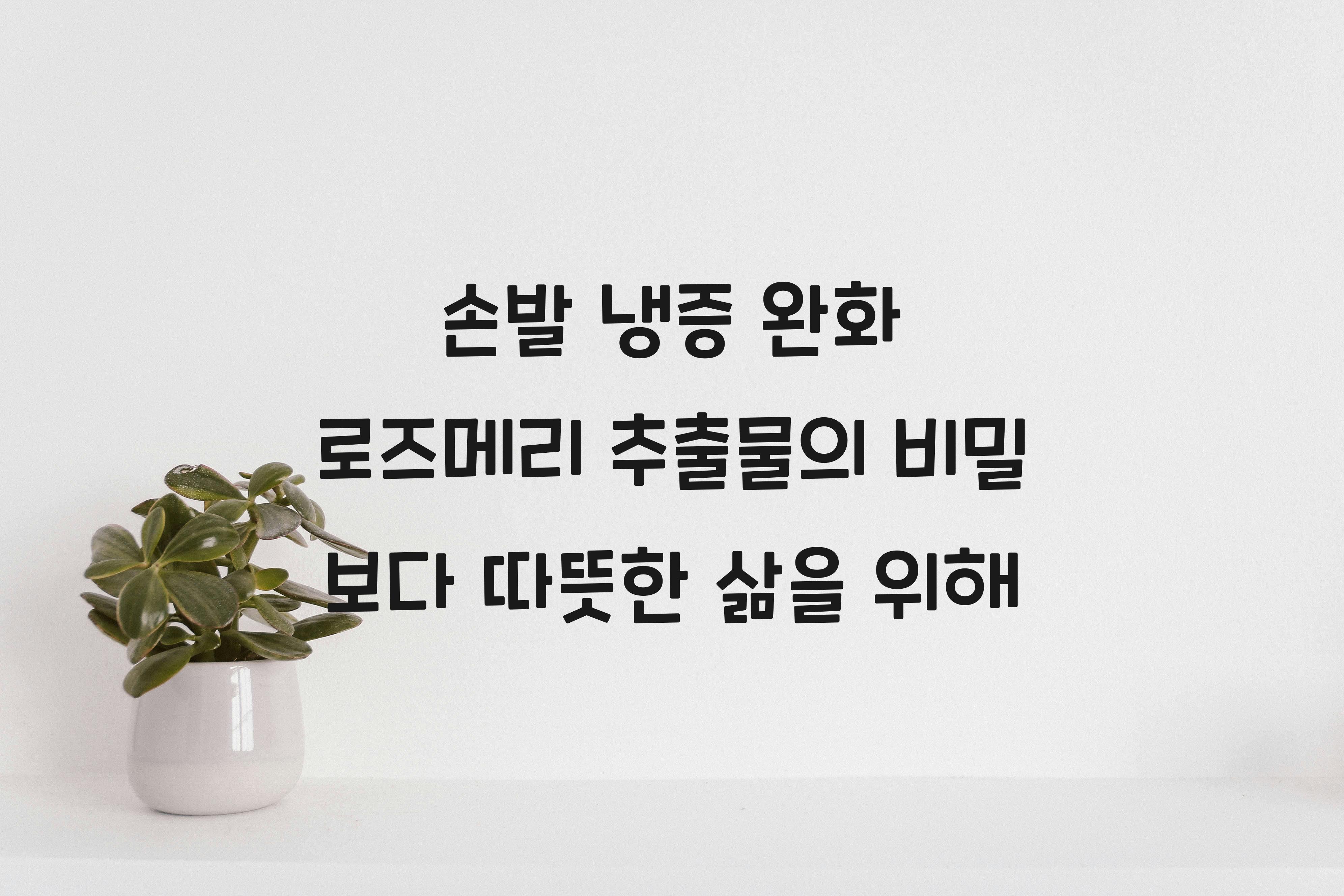 손발 냉증 완화 로즈메리 추출물