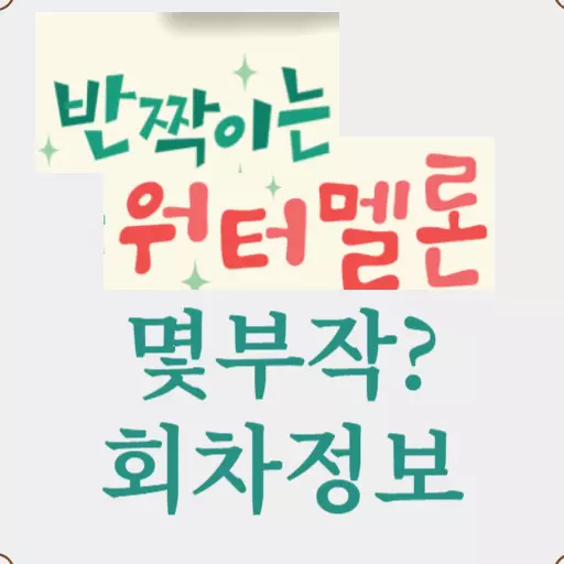 반짝이는 워터멜론 몇부작-회차정보