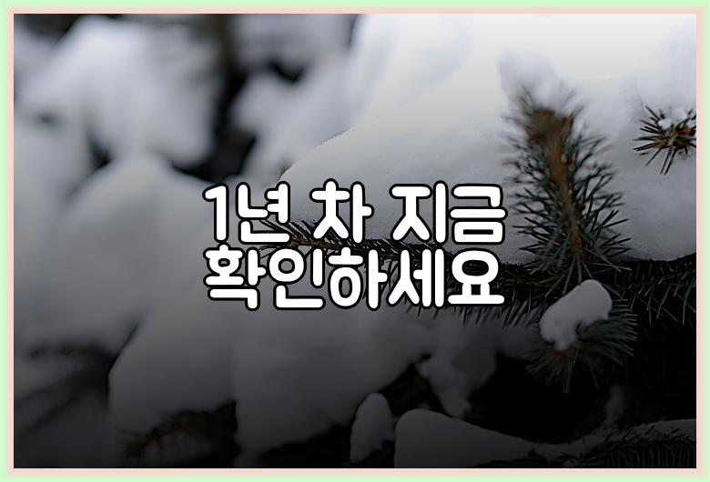 1년 차 지금 확인하세요