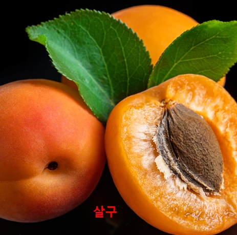 황매실과살구 구별