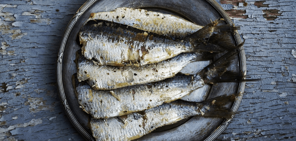 눈에 좋은 음식 사진 - 88