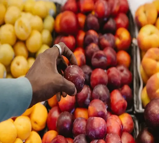 딸기 참외 자두