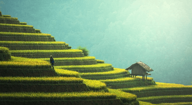 베트남 여행하기 좋은 계절, 여행지추천