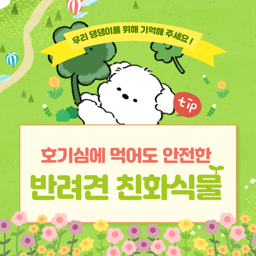 반려견 안전식물