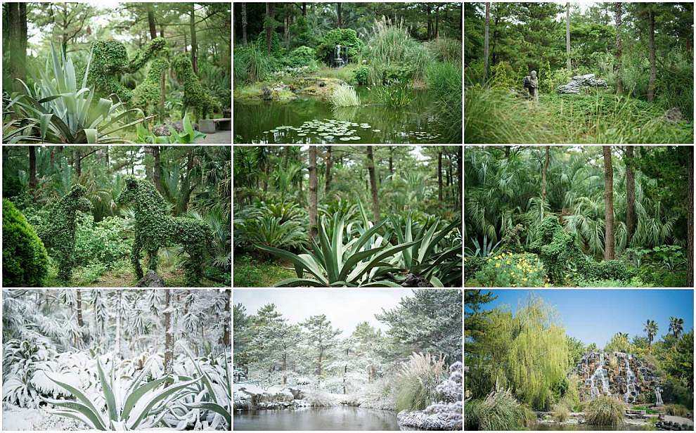제주 한림공원 수국축제