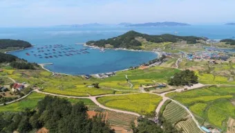 완도 맛집 베스트10 숨겨진 남도 해산물_21