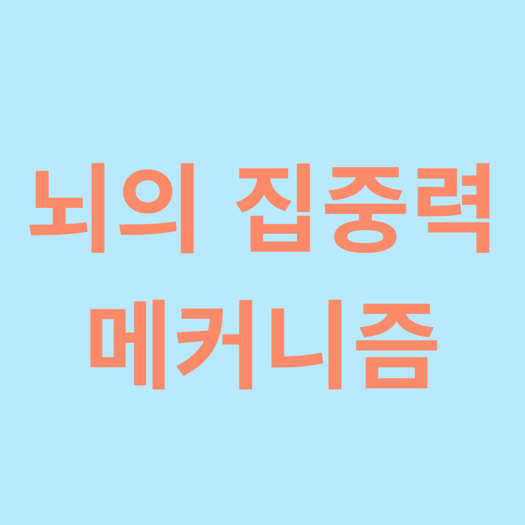 뇌의 집중력 메커니즘