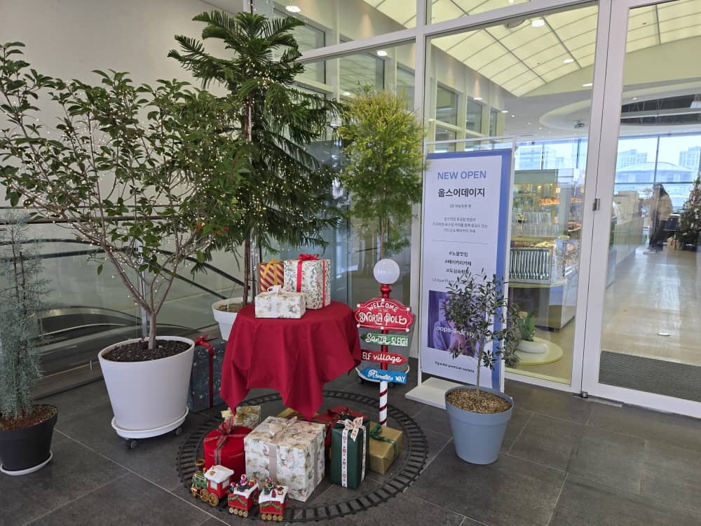 송도 웁스어데이지